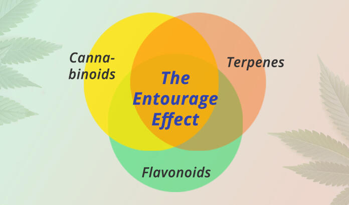 entourage effect