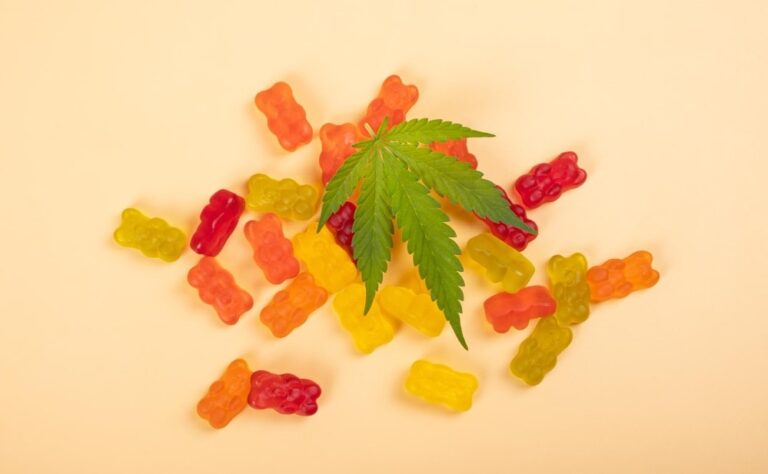 How Maine Consumers Choose Between Gummies and Oils